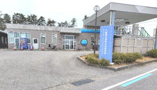 バスト
